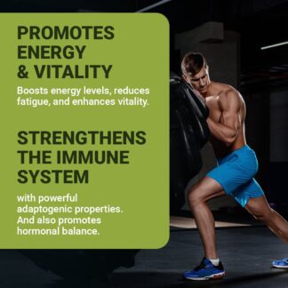 Ultimate Health & Wellness Pack